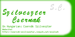 szilveszter csernak business card