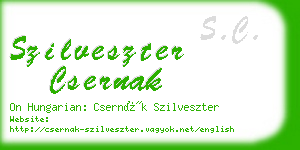 szilveszter csernak business card